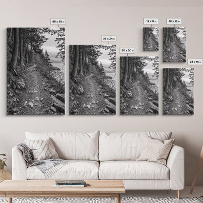 Forest Pathway Trail, Wilderness Escape, Black and White Framed Canvas Print