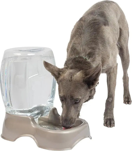 3-Gallon Pet Water Dispenser - Automatic Refill for Cats & Dogs