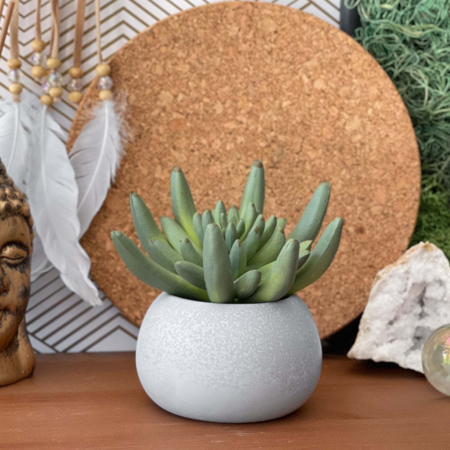 Handmade Concrete Succulent Planter