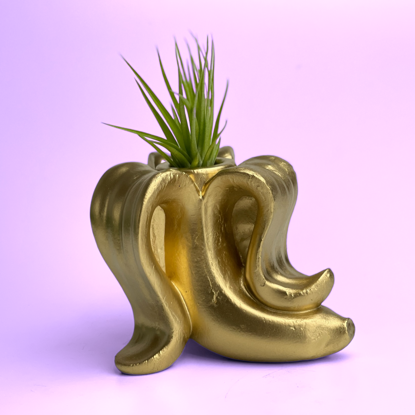 Handmade Concrete Banana Air Plant Holder