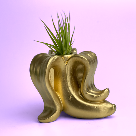 Handmade Concrete Banana Air Plant Holder