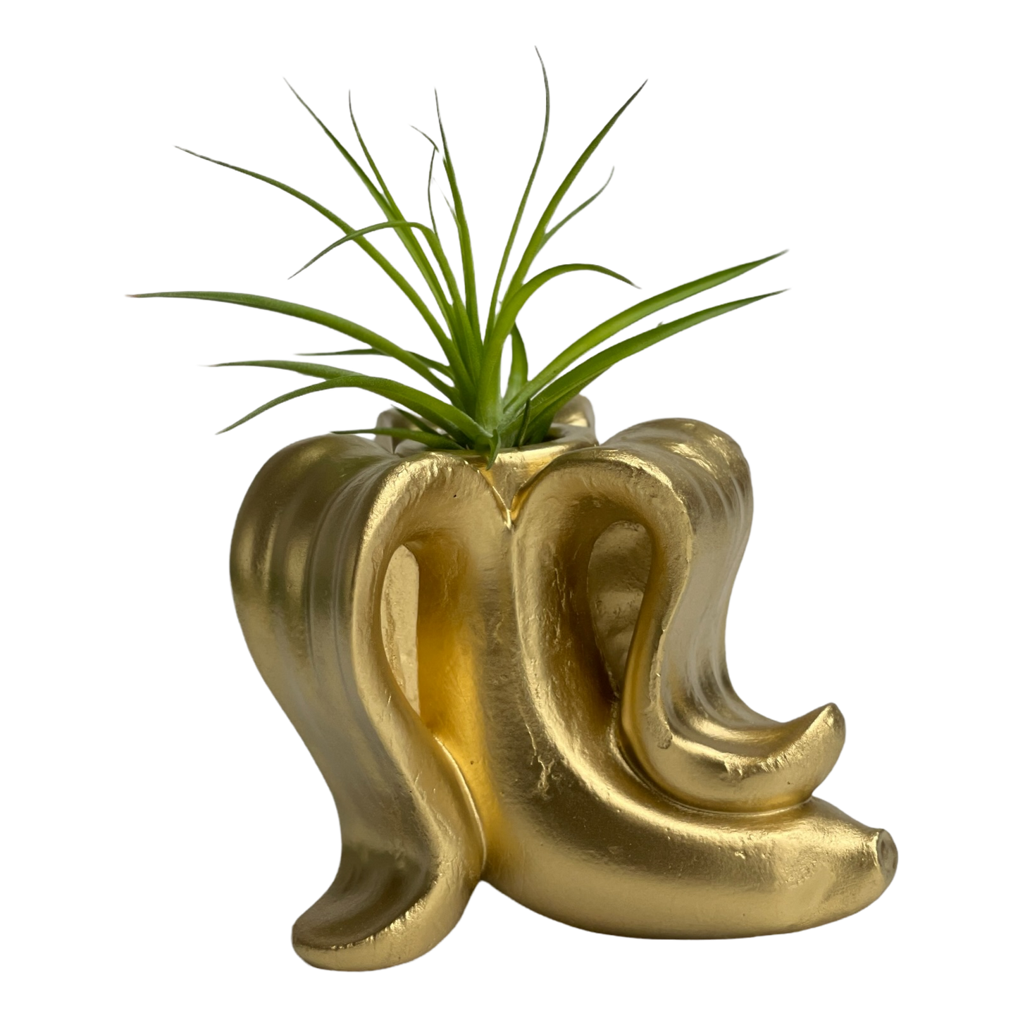Handmade Concrete Banana Air Plant Holder