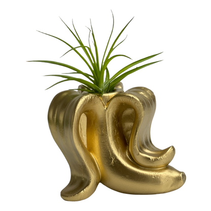 Handmade Concrete Banana Air Plant Holder
