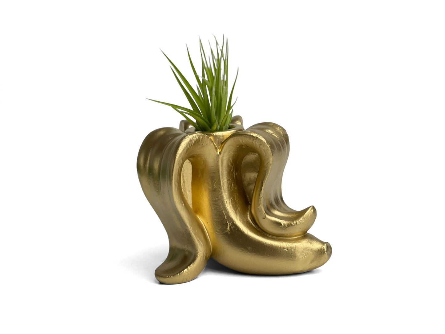 Handmade Concrete Banana Air Plant Holder
