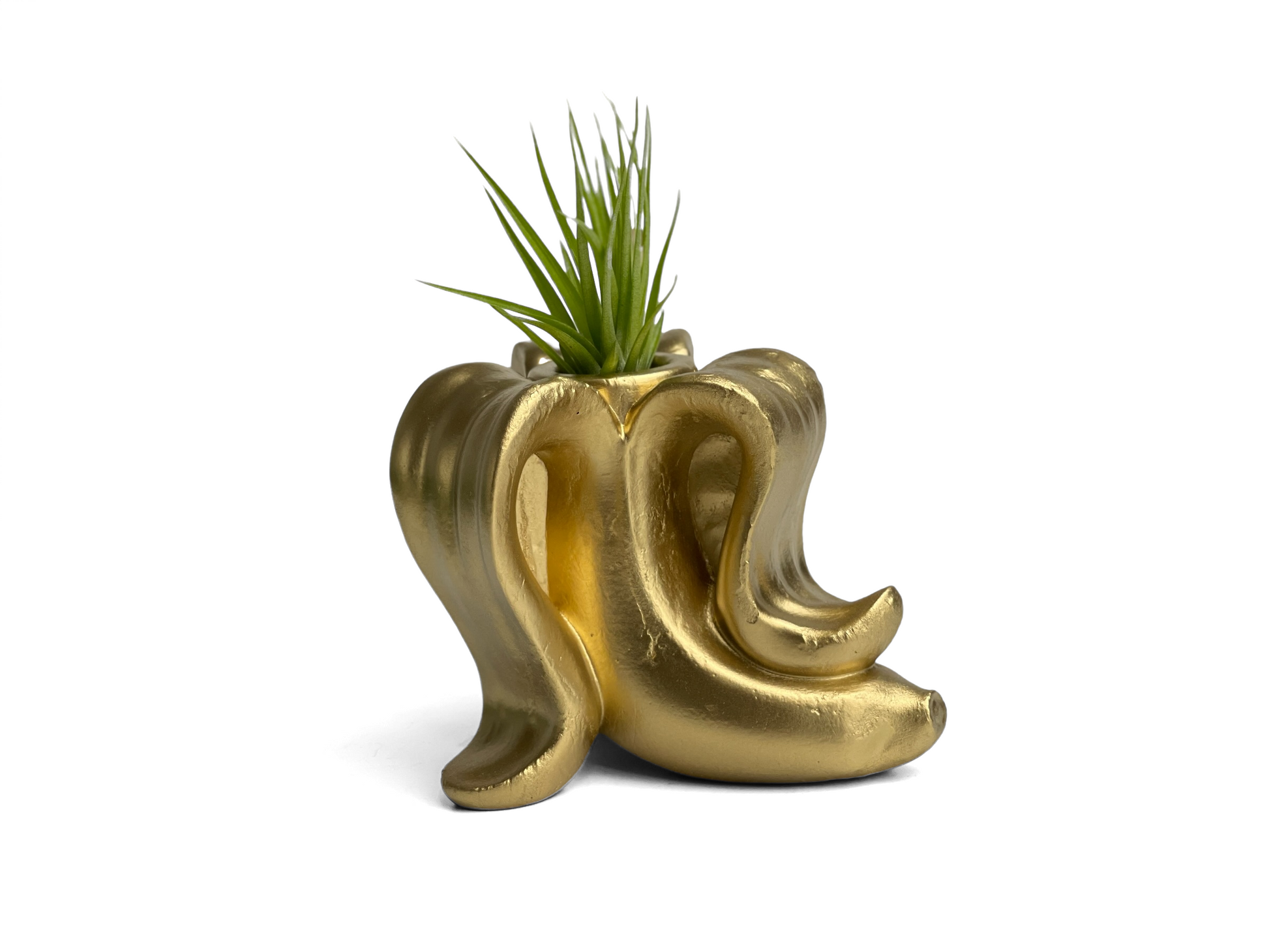 Handmade Concrete Banana Air Plant Holder