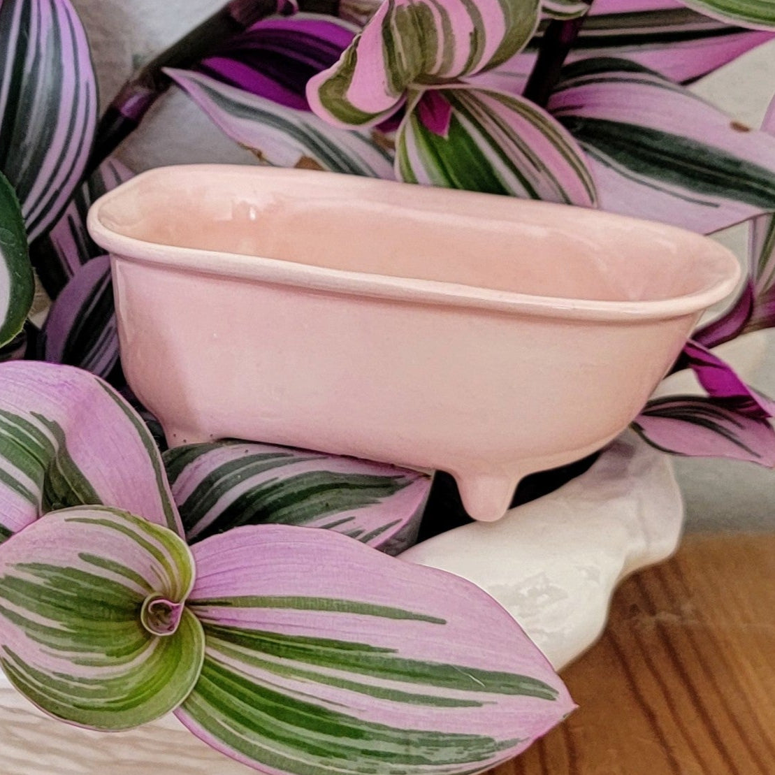 Limited Edition Tub Plant Watering Spike – Ceramic Self-Watering Stake