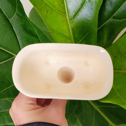 Limited Edition Tub Plant Watering Spike – Ceramic Self-Watering Stake