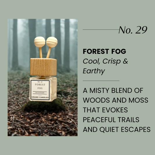Forest Fog Car Diffuser – Fresh, Earthy & Cool Scent