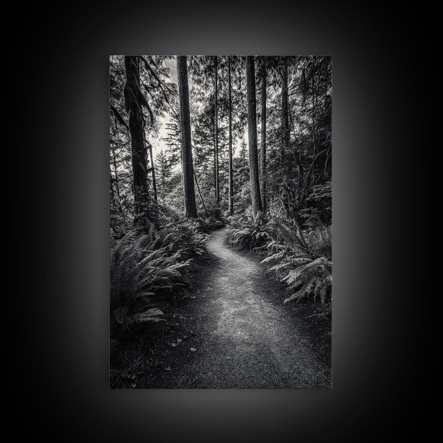 Fern Pathway, Enchanted Forest, Woodland Trail, Framed Canvas Print, Nature Walk Wall Art, Boho Bedroom Decor, Moody Landscape Style
