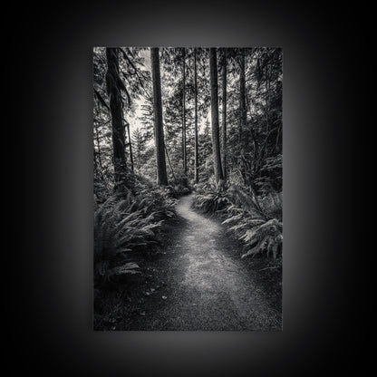 Fern Pathway, Enchanted Forest, Woodland Trail, Framed Canvas Print, Nature Walk Wall Art, Boho Bedroom Decor, Moody Landscape Style