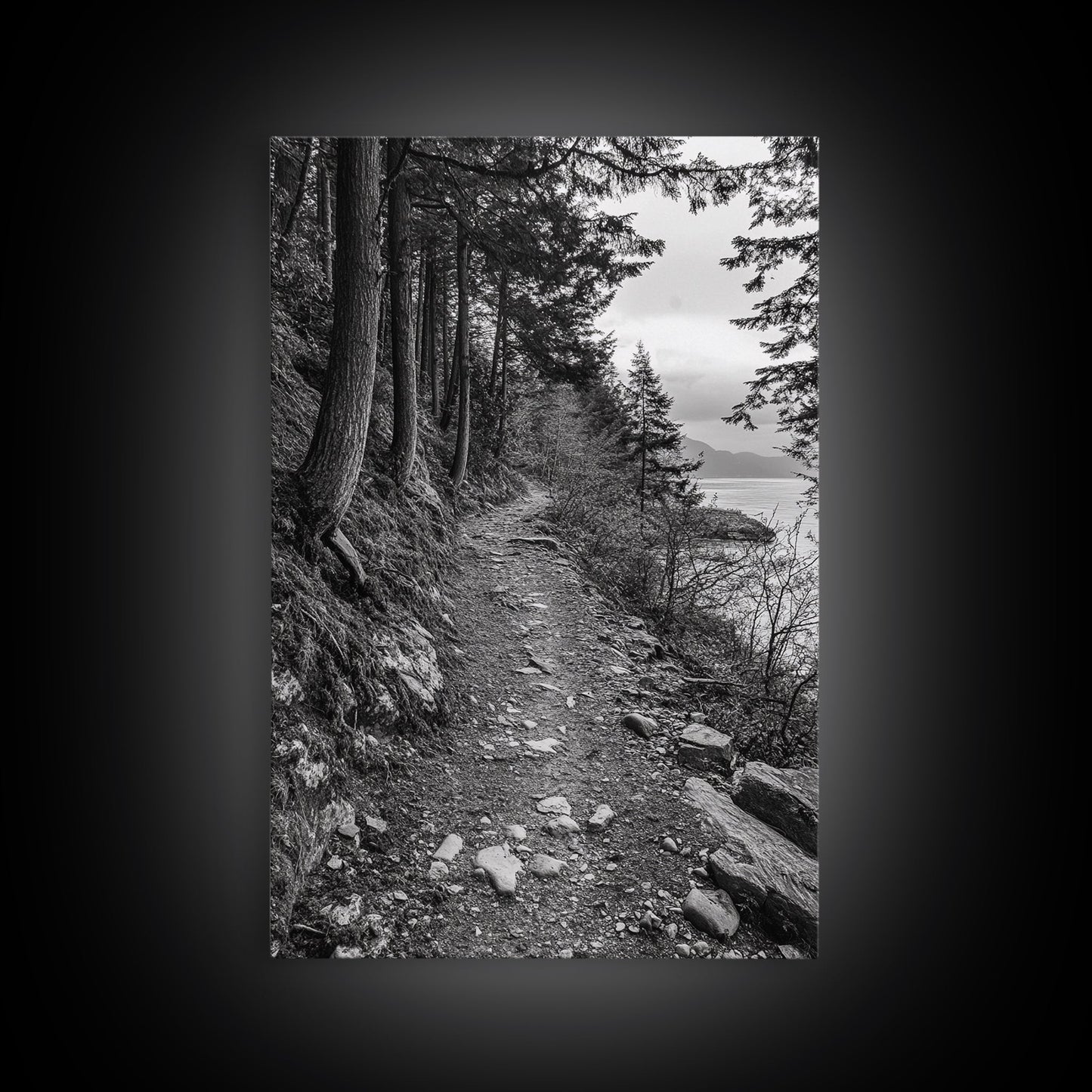 Forest Pathway Trail, Wilderness Escape, Black and White Framed Canvas Print