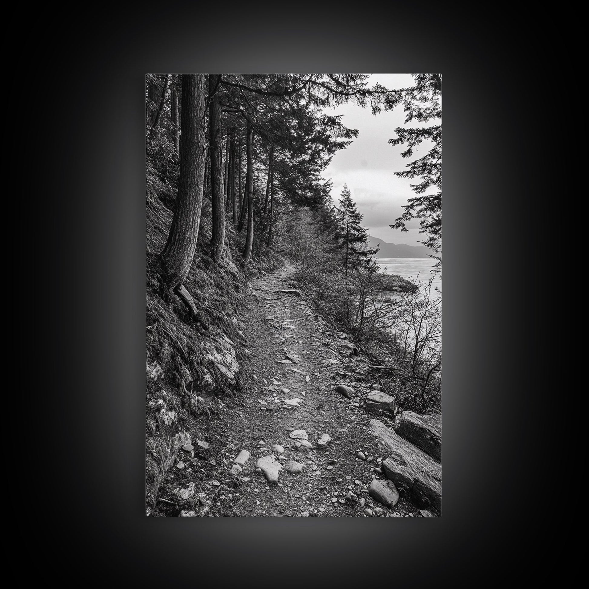 Forest Pathway Trail, Wilderness Escape, Black and White Framed Canvas Print
