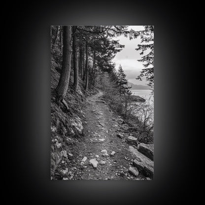 Forest Pathway Trail, Wilderness Escape, Black and White Framed Canvas Print