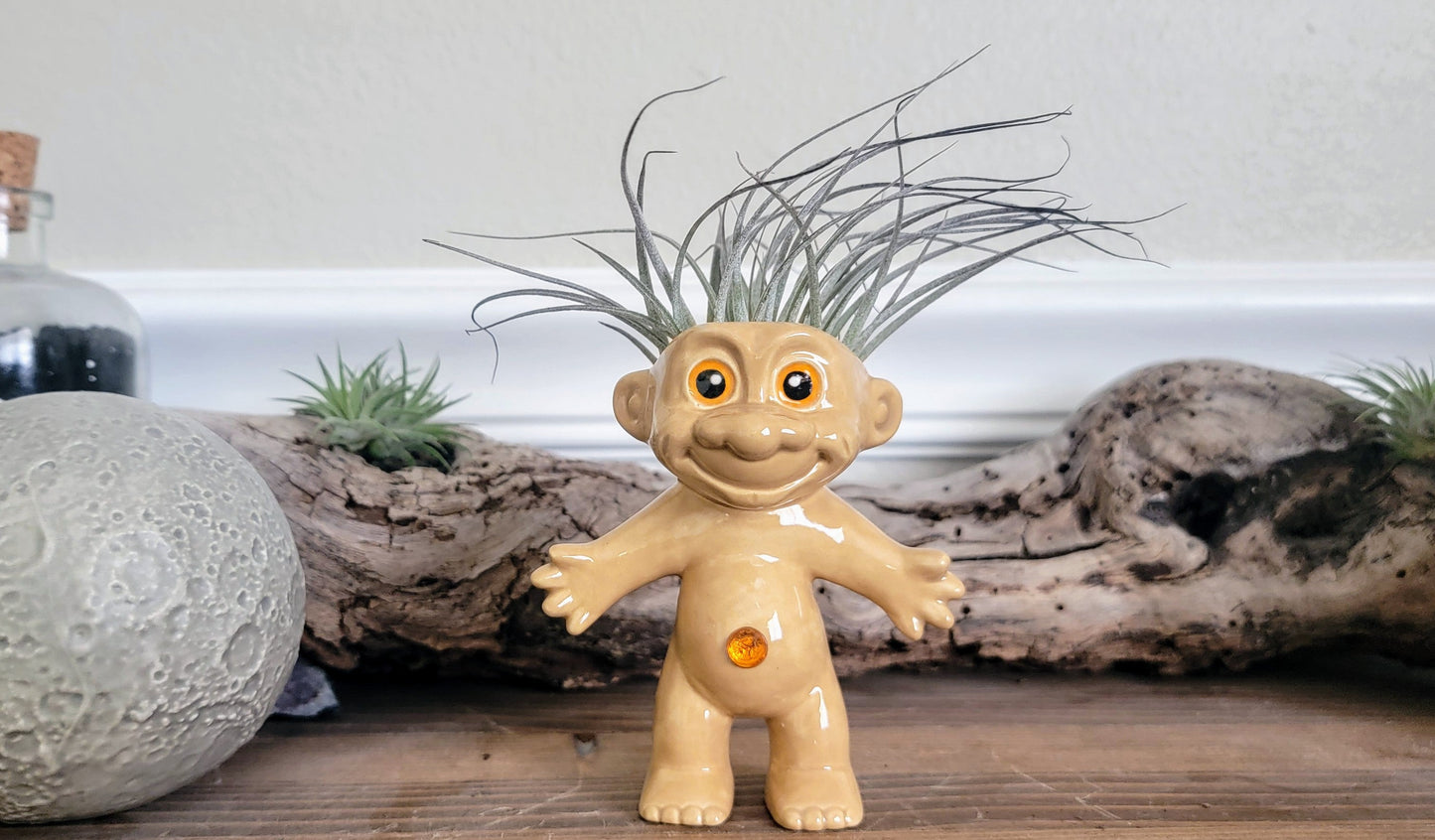 Treasure Troll Air Plant Holder