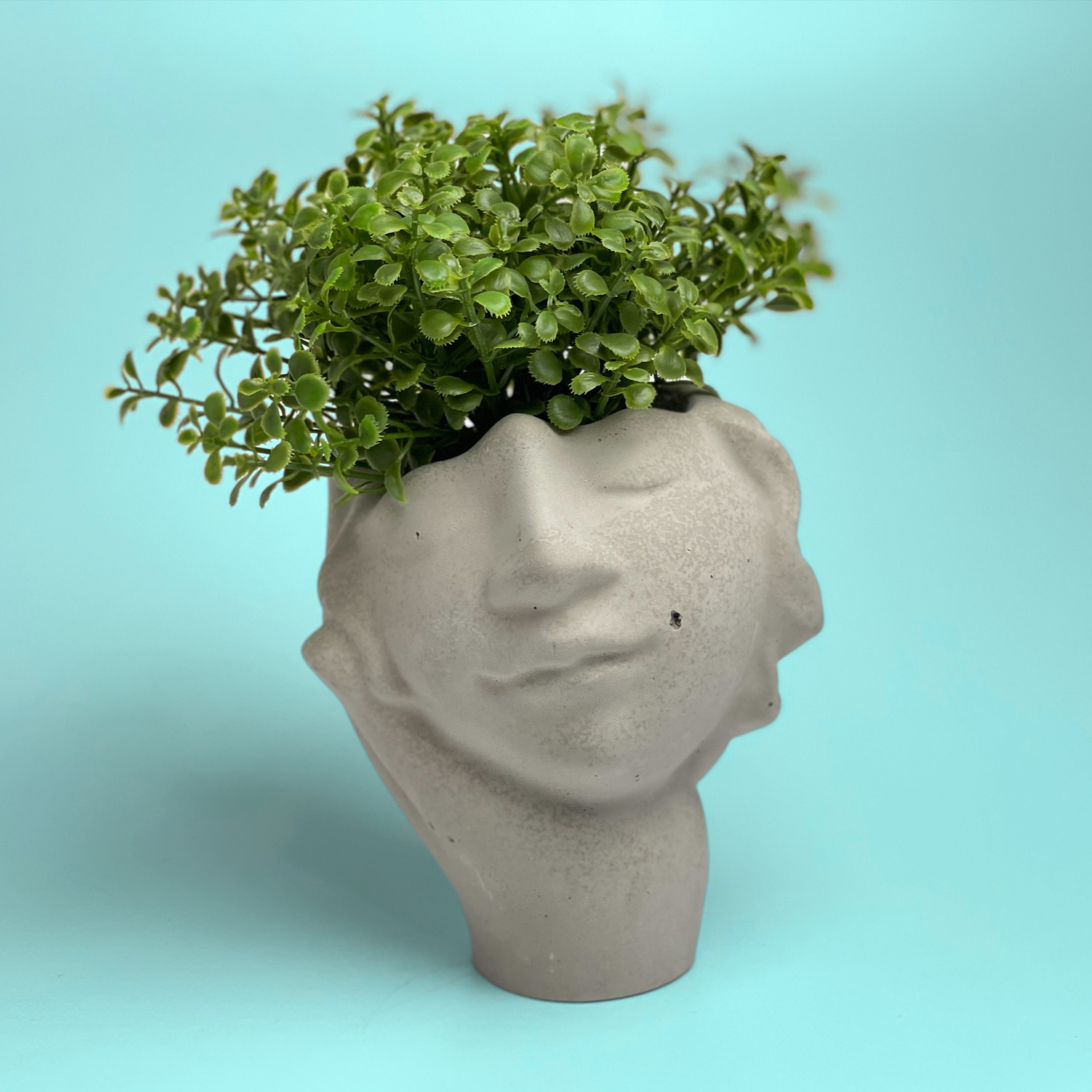 Concrete Face Planter – Handmade Modern Succulent Pot with Drainage Hole