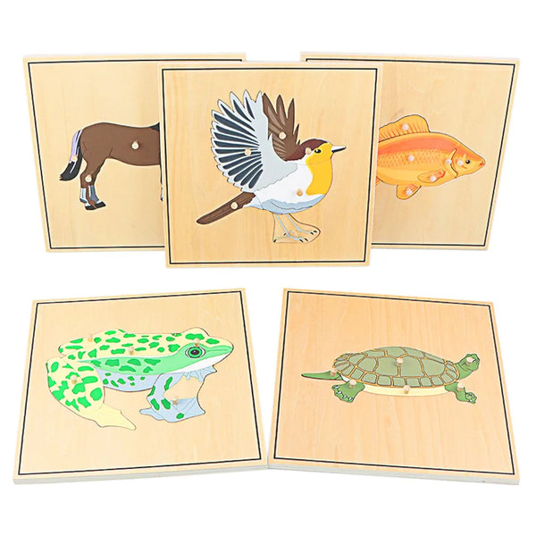 Children Educational Toys Montessori Materials Biology Wooden