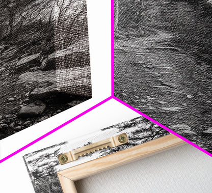 Forest Pathway Trail, Wilderness Escape, Black and White Framed Canvas Print