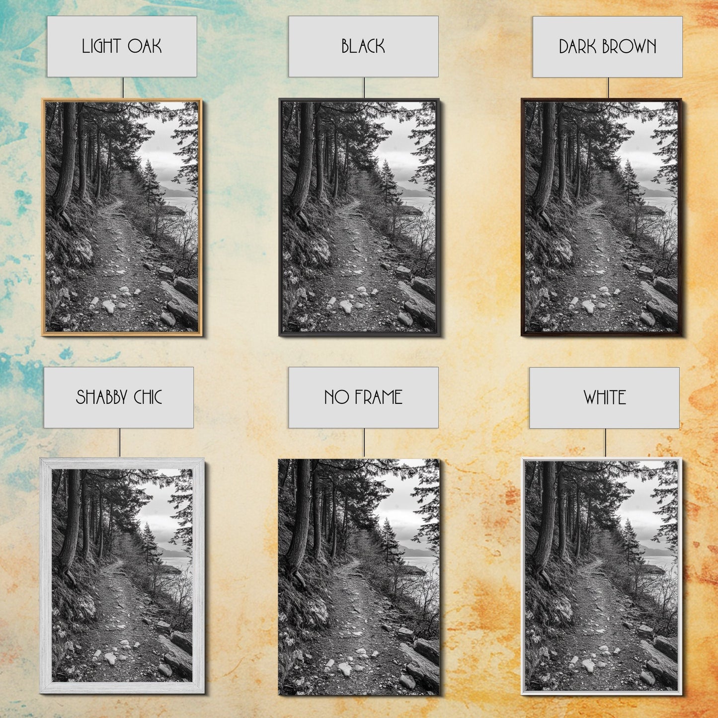 Forest Pathway Trail, Wilderness Escape, Black and White Framed Canvas Print