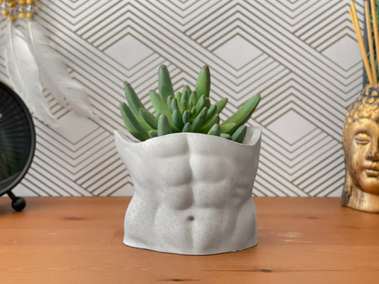 Male Torso Planter – Handmade Concrete Body Pot with Drainage Hole