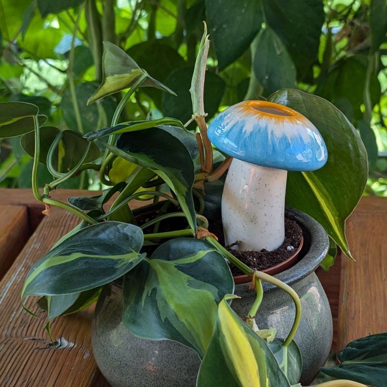 Hand-Crafted Mushroom Plant Watering Spike – Exclusive Mountain Mudworks Design