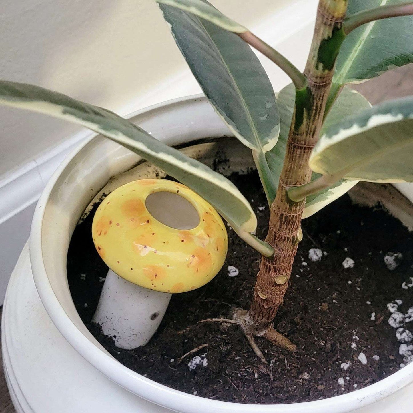 Hand-Crafted Mushroom Plant Watering Spike – Exclusive Mountain Mudworks Design