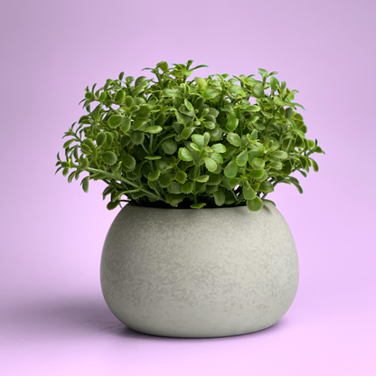 Handmade Concrete Succulent Planter
