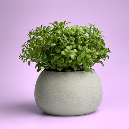 Handmade Concrete Succulent Planter