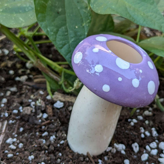 Hand-Crafted Mushroom Plant Watering Spike – Exclusive Mountain Mudworks Design