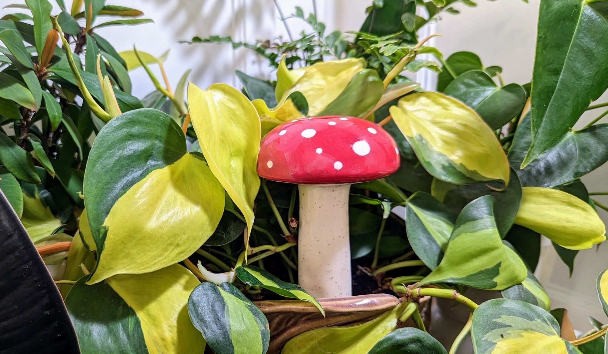 Magic Mushroom Plant Watering Spike – Self-Watering Garden Accessory