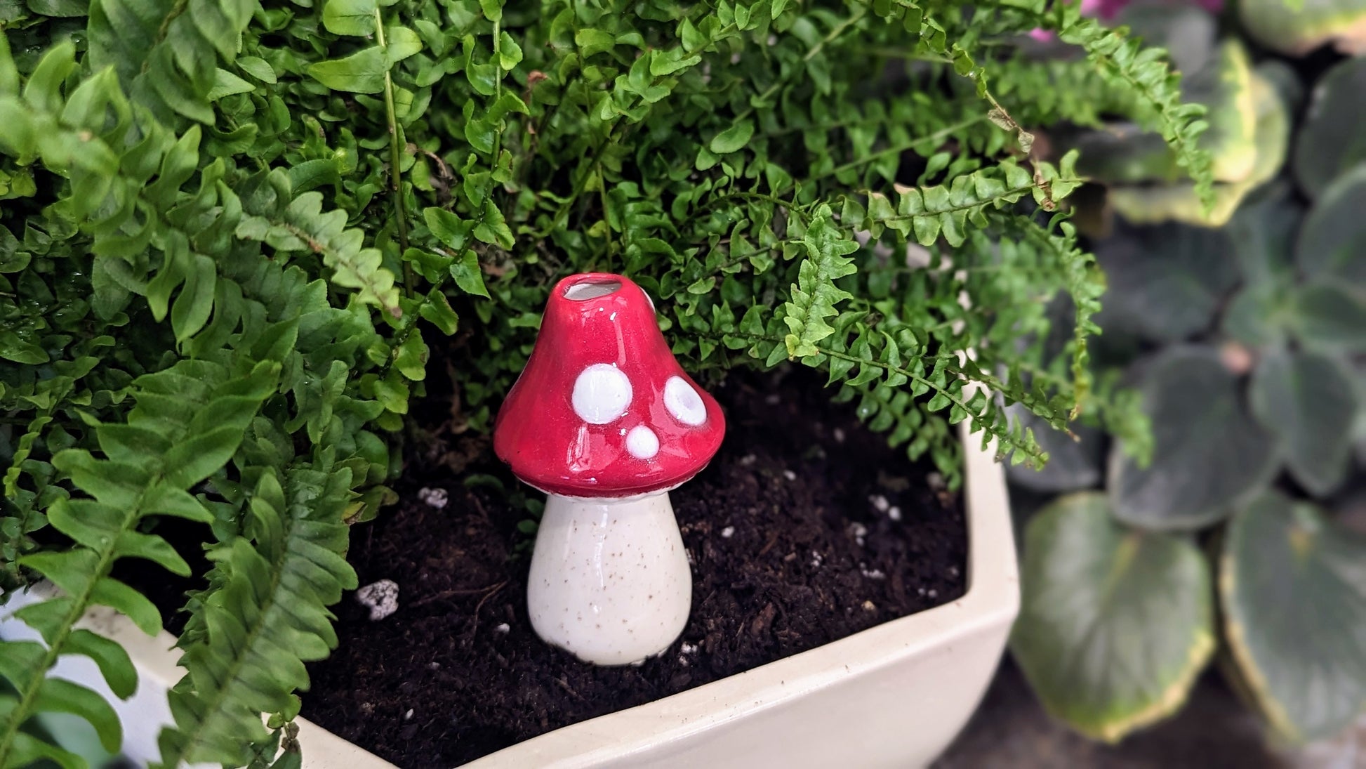 Mini Toadstool Ceramic Plant Watering Spike