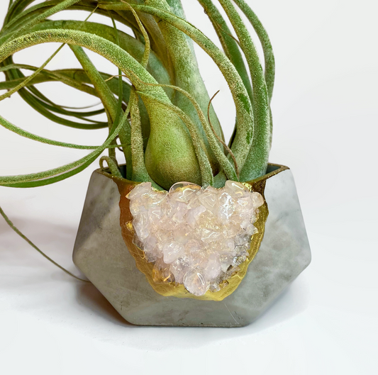 Rose Quartz Crystal Concrete Planter