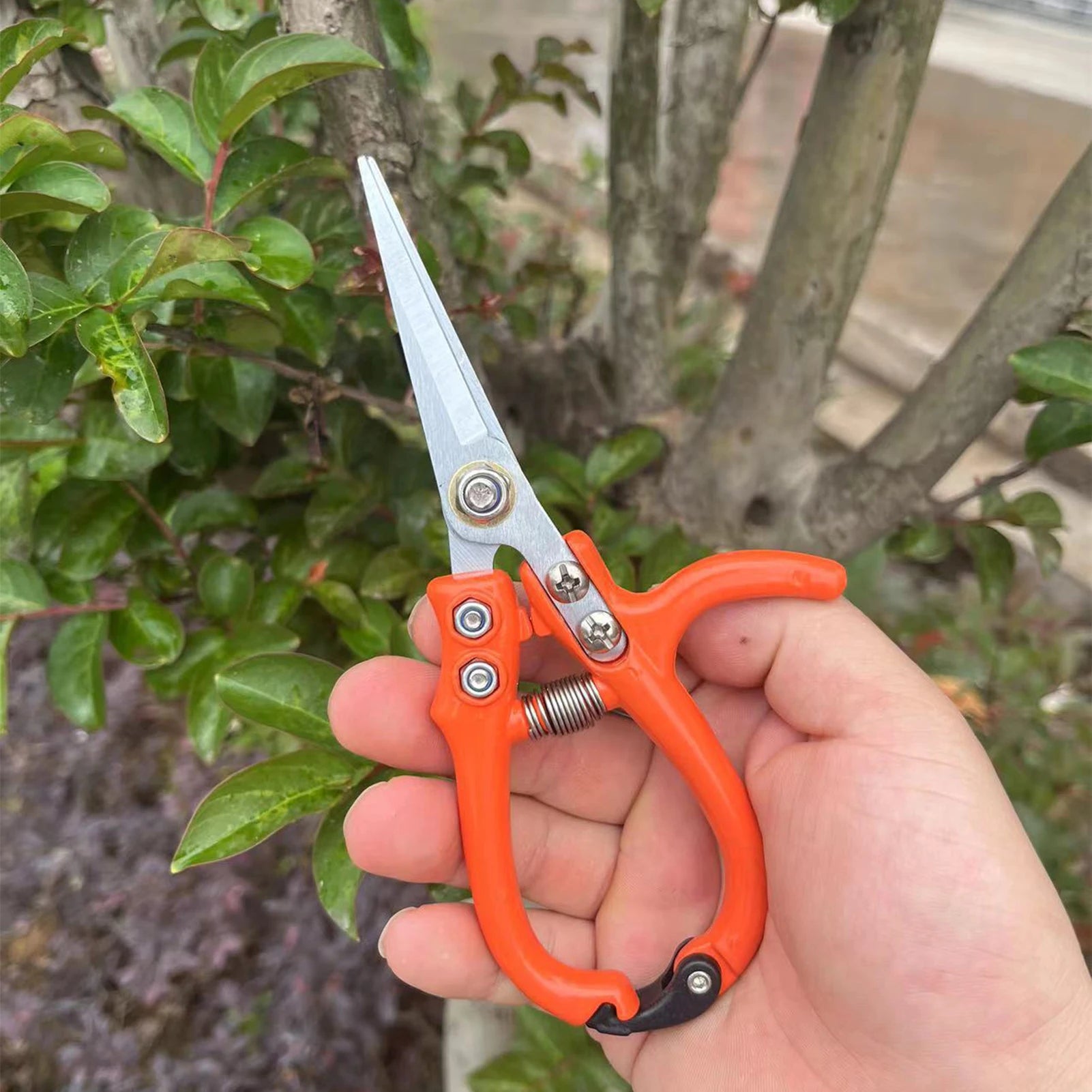 Gardening Secateurs Cutting multipurpose Pruning Shears
