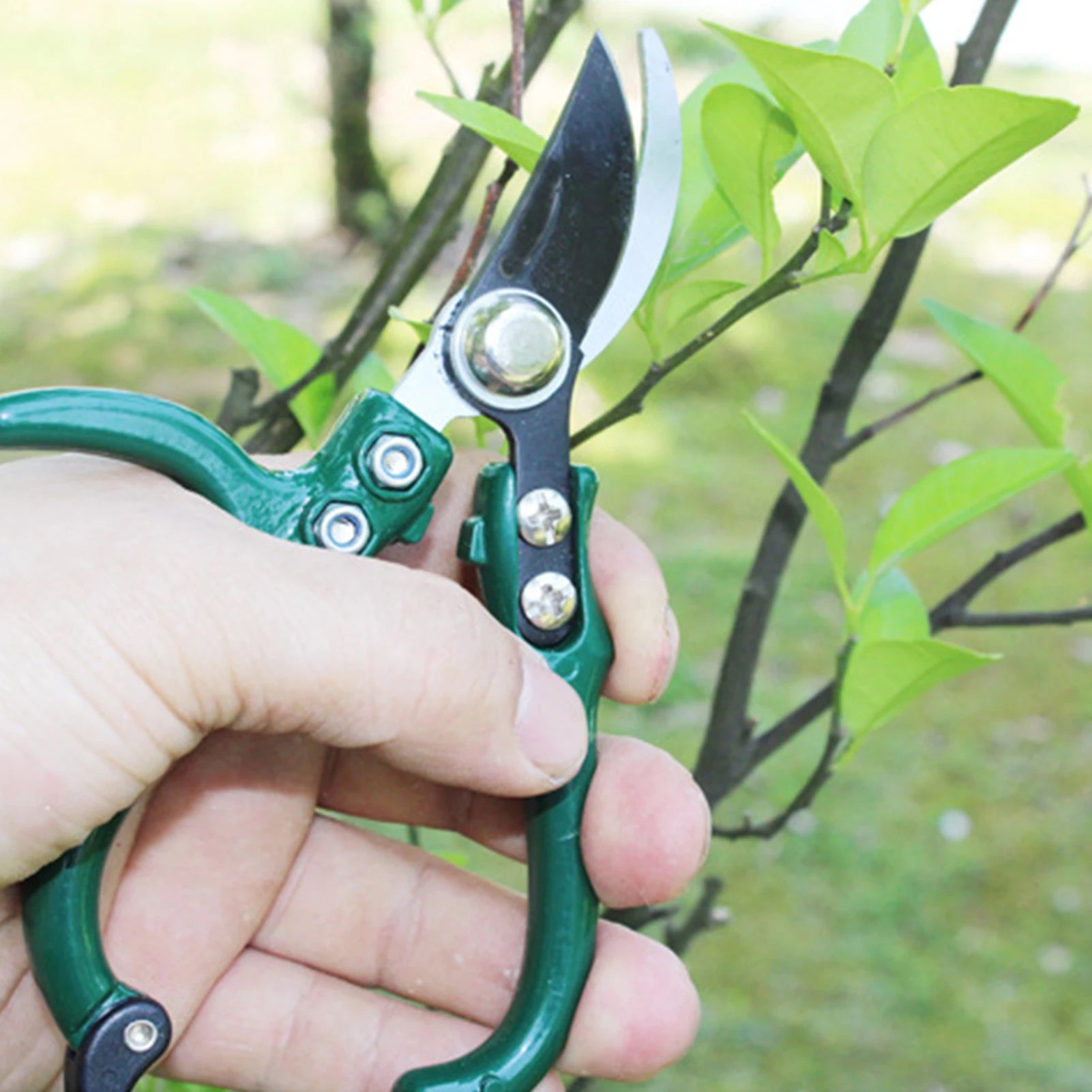 Gardening Secateurs Cutting multipurpose Pruning Shears
