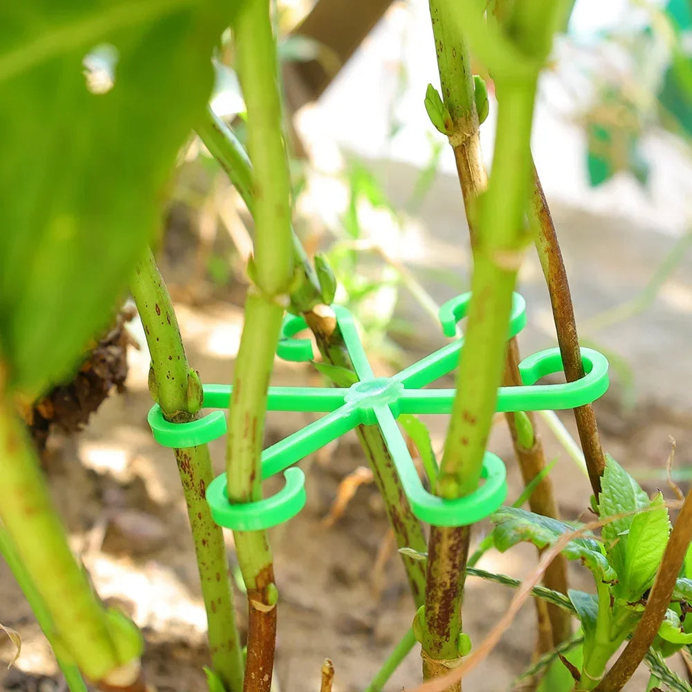Reusable Plant Stem Support | No Stake Trellis Organizer