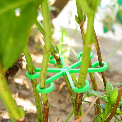 Reusable Plant Stem Support | No Stake Trellis Organizer
