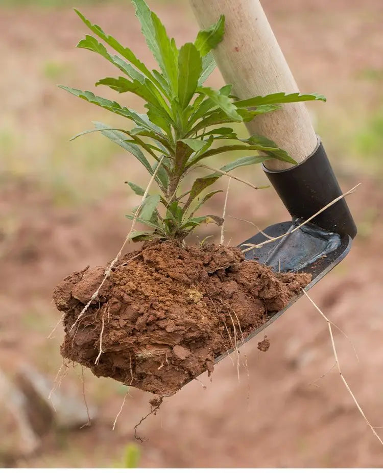 Small Hoe for Digging - Durable Garden Tool for Planting