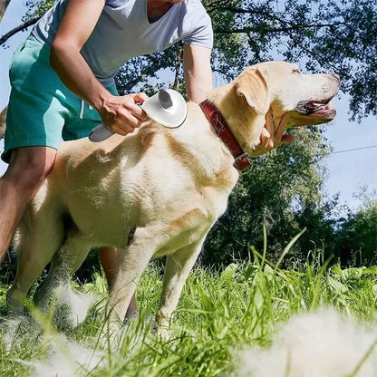 Self-Cleaning Pet Brush – Dematting Comb for Dogs & Cats