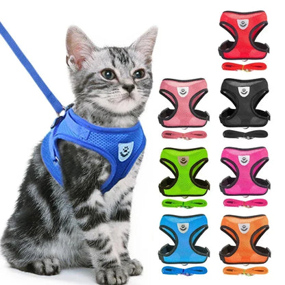 Soft Mesh Dog Harness – Breathable Comfort for Small Dogs & Cats