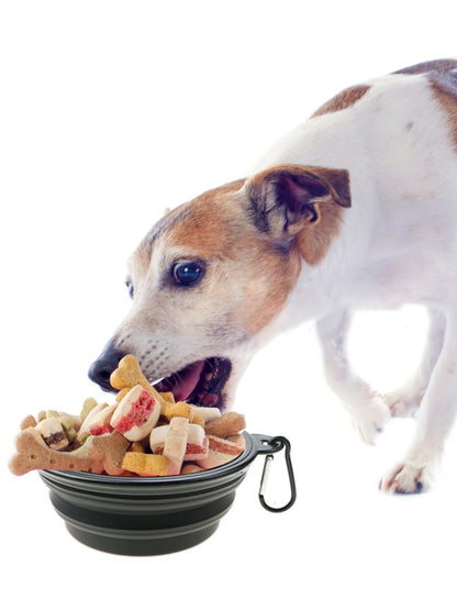 350ml Folding Pet Bowl - Portable Travel Dog & Cat Bowl with Keychain