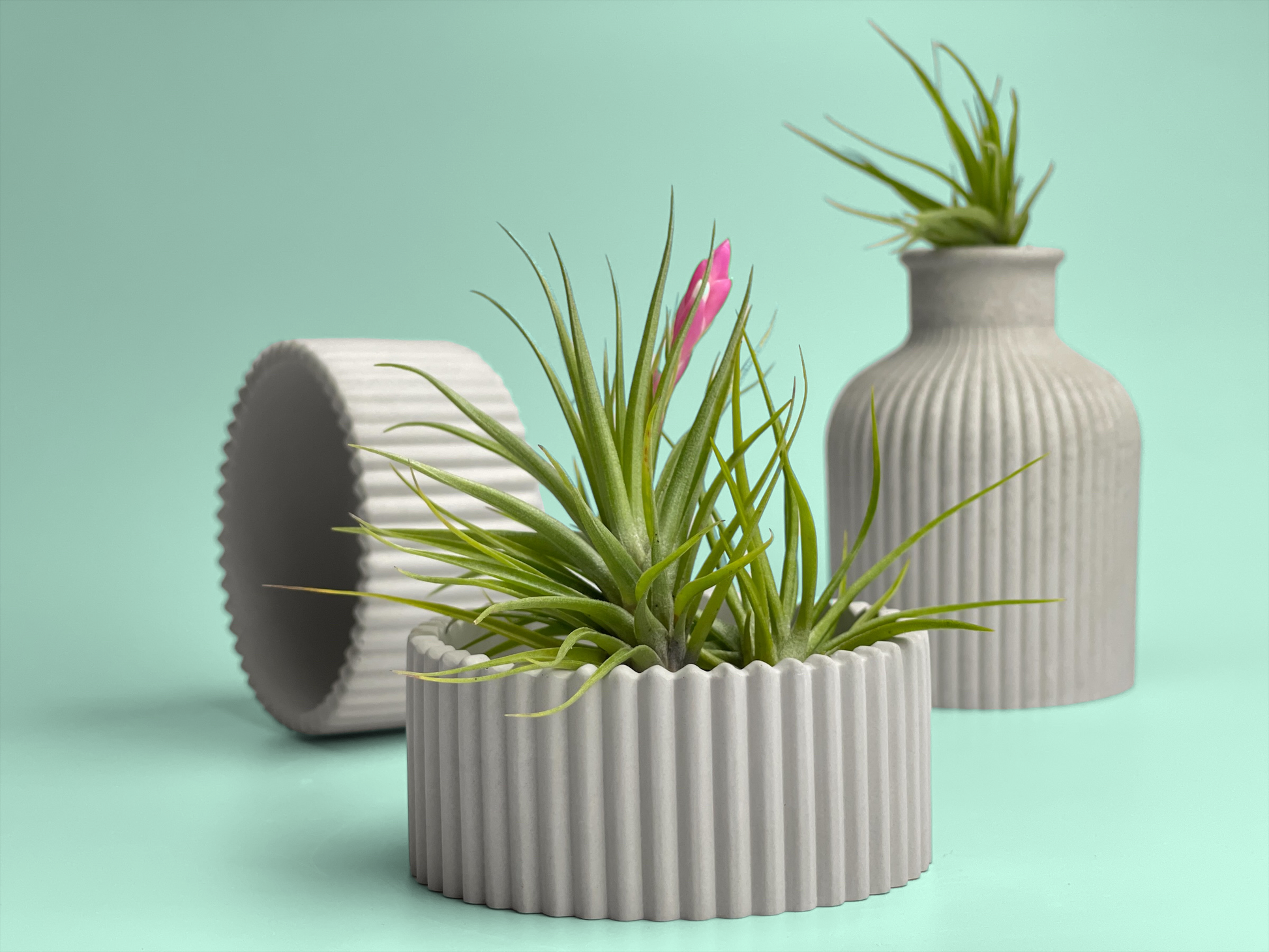 Scandinavian Concrete Planter – Minimalist Succulent Pot with Drainage Hole