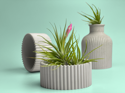 Scandinavian Concrete Planter – Minimalist Succulent Pot with Drainage Hole