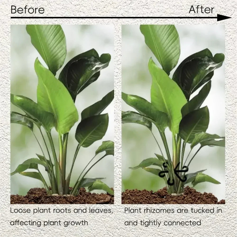 Reusable Plant Stem Support | No Stake Trellis Organizer