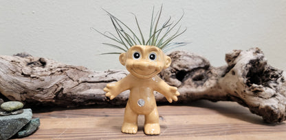 Treasure Troll Air Plant Holder