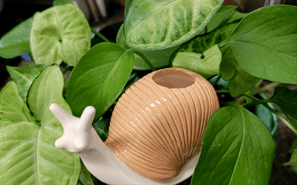 Large Snail Ceramic Plant Watering Spike