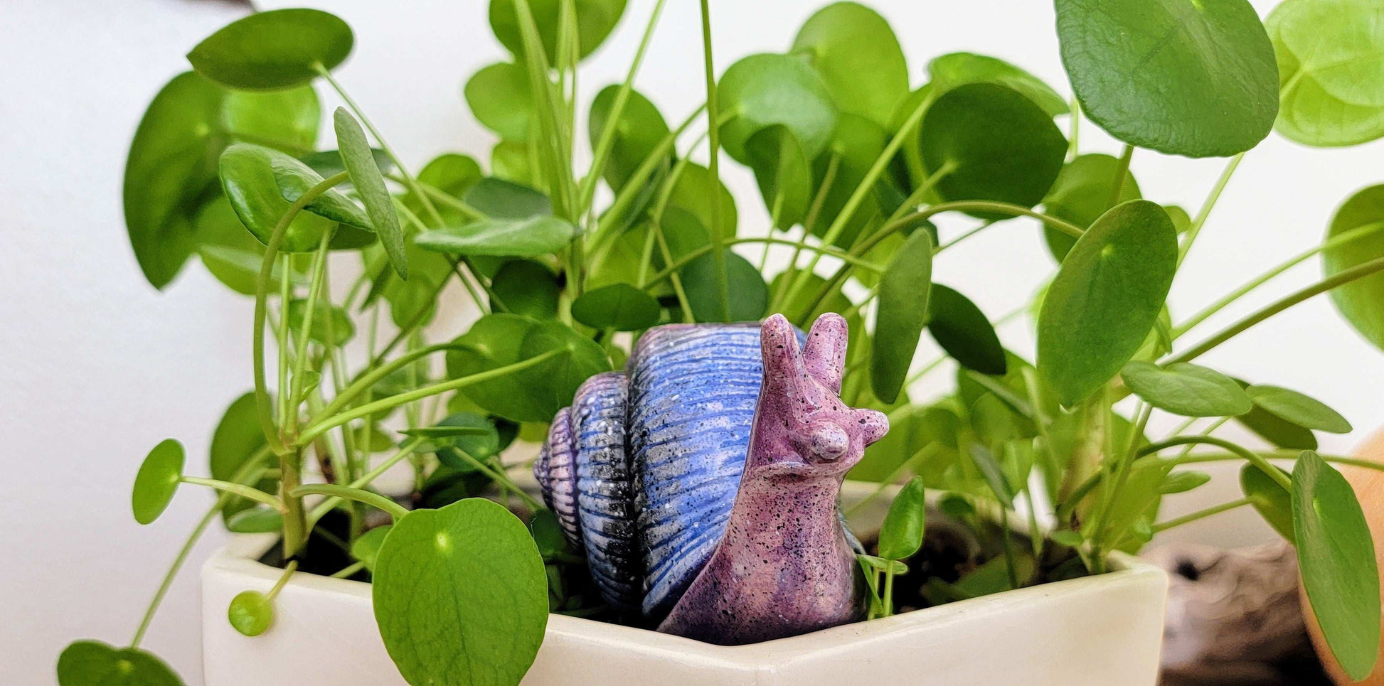 Large Snail Ceramic Plant Watering Spike