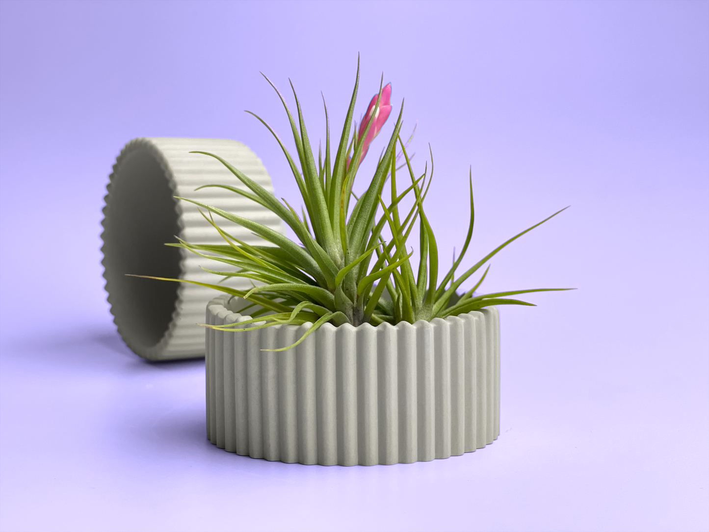 Scandinavian Concrete Planter – Minimalist Succulent Pot with Drainage Hole