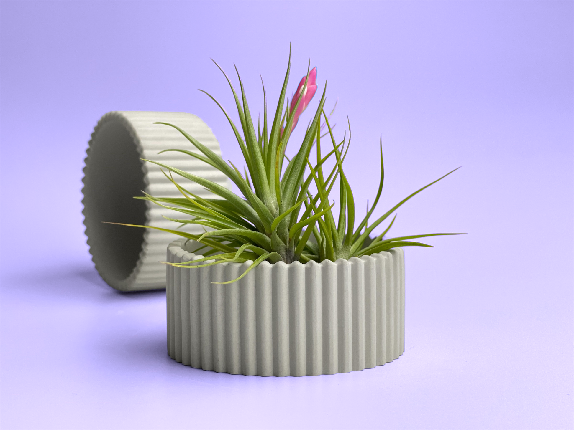 Scandinavian Concrete Planter – Minimalist Succulent Pot with Drainage Hole