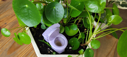 Toilet Watering Spike – Funny Ceramic Self-Watering Plant Stake