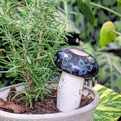 Hand-Crafted Mushroom Plant Watering Spike – Exclusive Mountain Mudworks Design