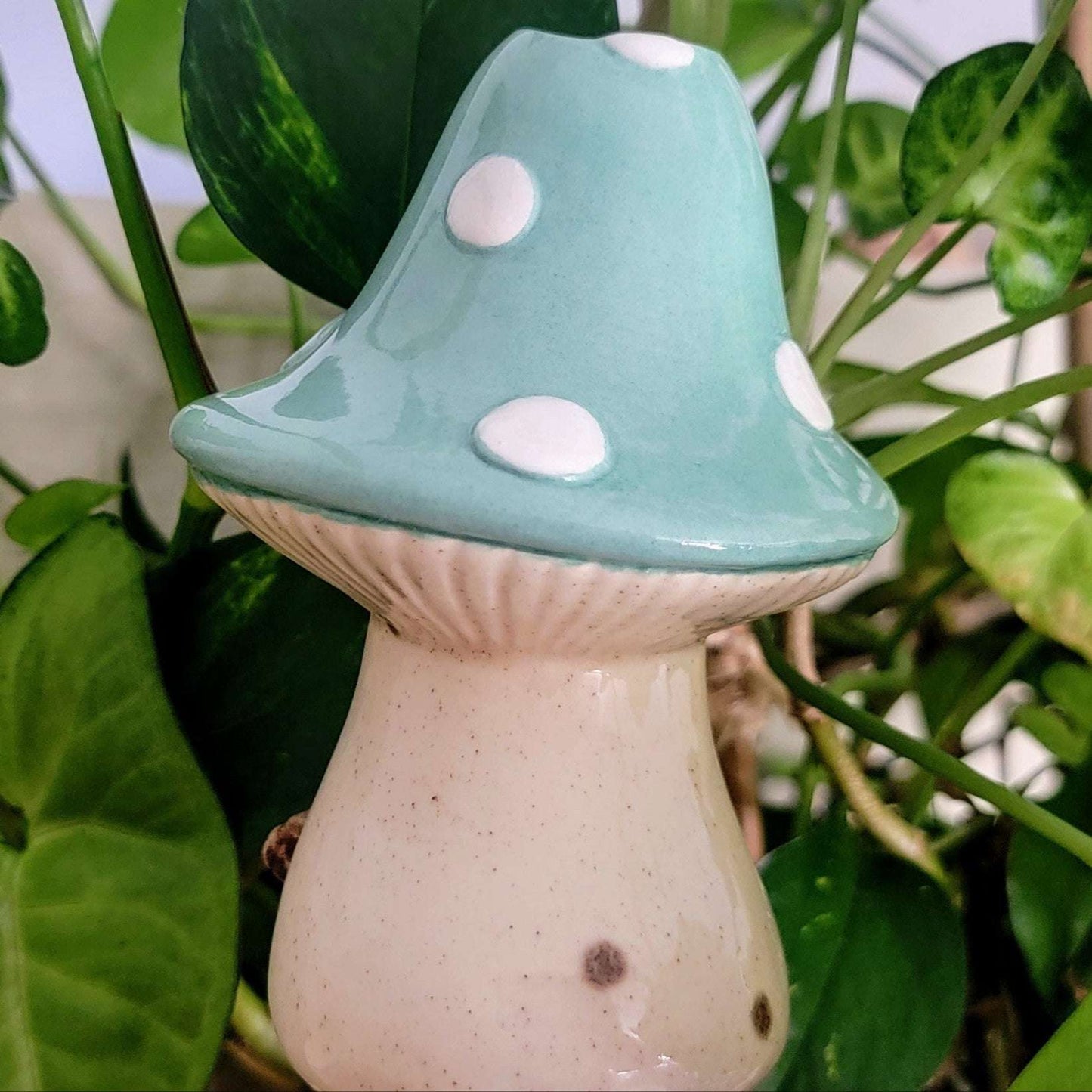 Extra-Large Toadstool Plant Watering Spike